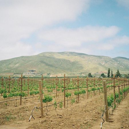 Almaliebre Viñedos del Valle Valle de Guadalupe Exterior foto