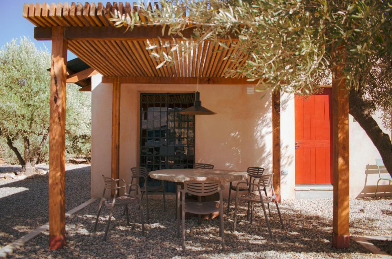 Almaliebre Viñedos del Valle Valle de Guadalupe Exterior foto