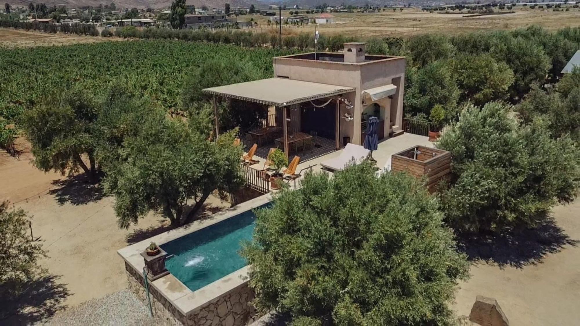 Almaliebre Viñedos del Valle Valle de Guadalupe Exterior foto